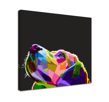 Leinwandbild Hund Regenbogenhund - TenStickers