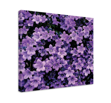 Wandbild Blume Vage lila blumen - TenStickers