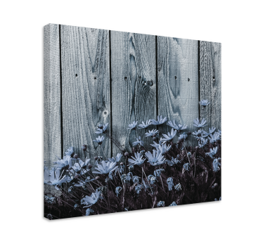Wandbild Blume Gänseblümchenblume auf grauem holzbrett - TenStickers