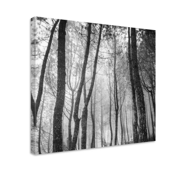 Leinwandbild Landschaft Nebelwald von oben - TenStickers