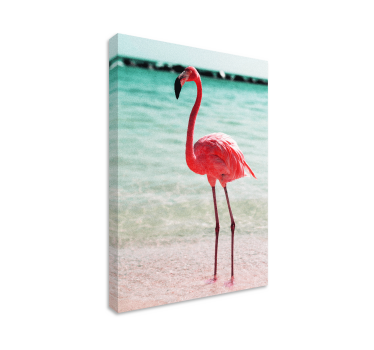 Leinwandbild vogel elegante flamingo-haltung - TenStickers