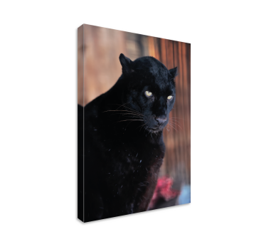 Wandbilder 3D Leopardenpirschen - TenStickers