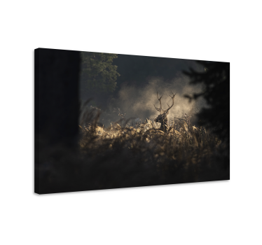 Hirsch bild leinwand regal hirsch kontur - TenStickers