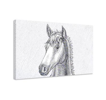 Pferde leinwand eleganter pferdeskizze - TenStickers