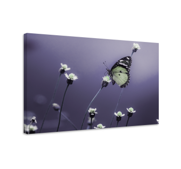 Wandbild schmetterling unter blumen - TenStickers