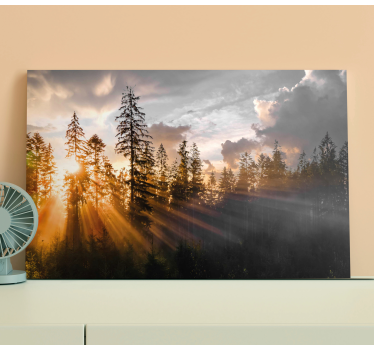 Leinwandbild Landschaft Wald mit nebel und sonne - TenStickers