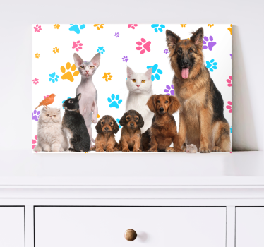 Leinwandbild Tiere Hunde und katzen - TenStickers