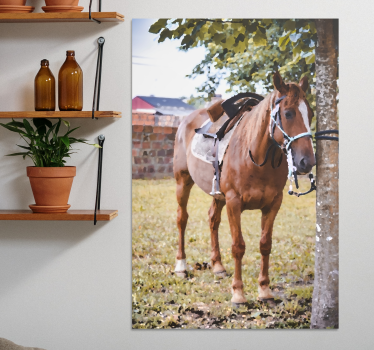 Pferde leinwand elegantes braunes pferd - TenStickers