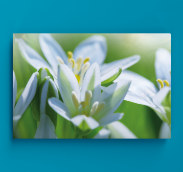 Wandbild Blume Wiese mit herrlichen schneeglöckchen - TenStickers