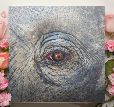 Wandbild elefant mit detail im elefantenauge - TenStickers