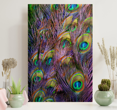 Wandbild Vogel Pfauenfeder - TenStickers