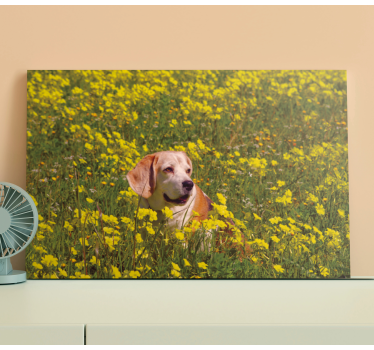 Wandbilder hunde glücklicher hund im freien - TenStickers