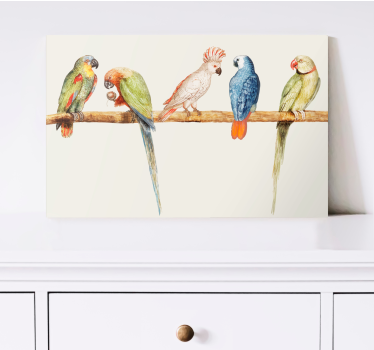 Leinwandbild vogel bunte papageienkollektion - TenStickers