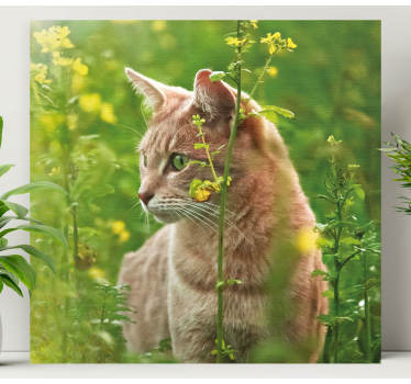 Wandbilder katzen neugierige katze beim schlendern - TenStickers