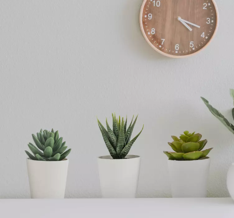 3D Kaktus Blumentöpfe Wandaufkleber - TenStickers