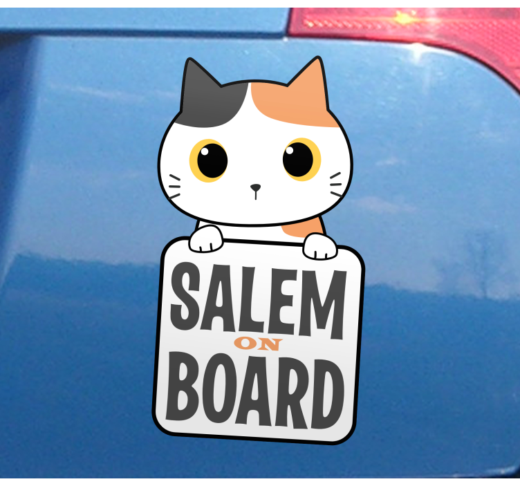 Autoaufkleber Süße katze an bord mit Namen - TenStickers