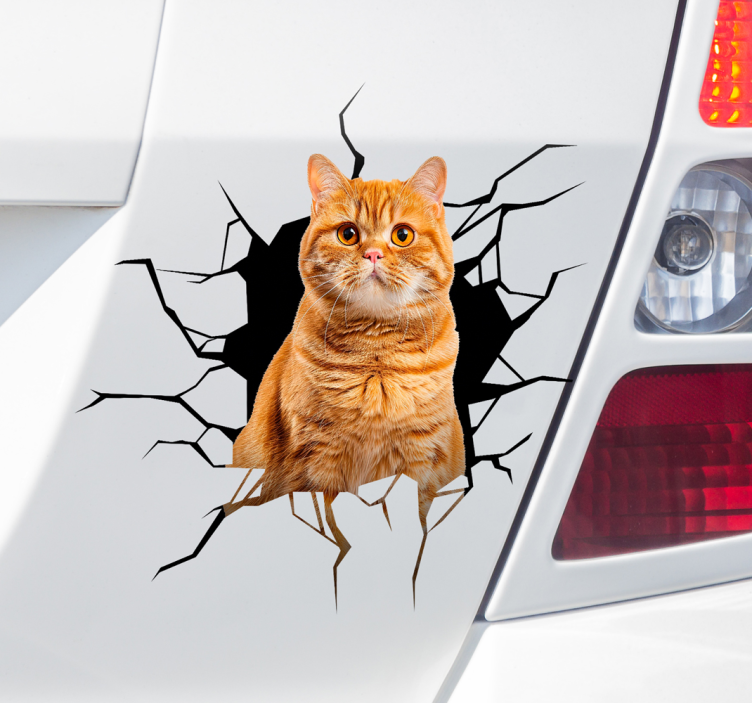 Autoaufkleber katze im loch - TenStickers