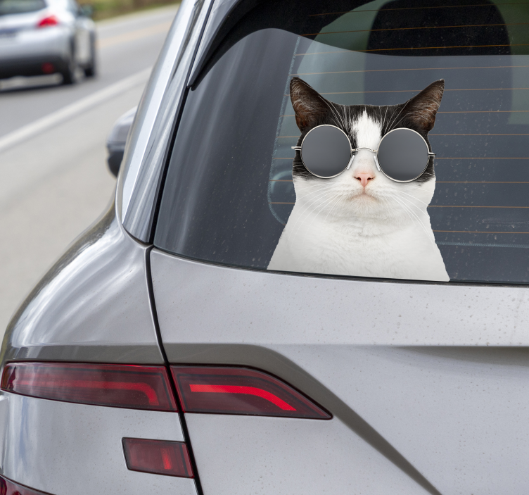 Autoaufkleber katze mit sonnenbrille - TenStickers