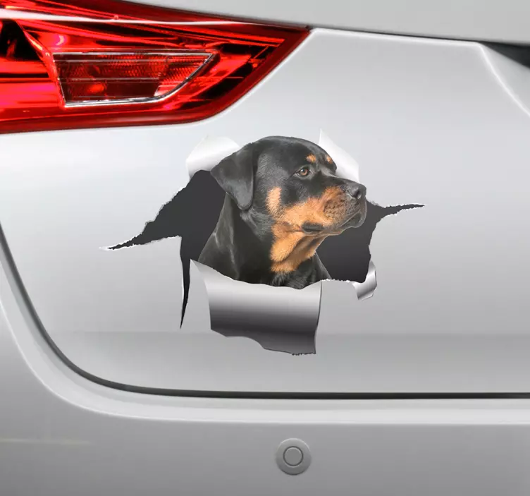Auto Aufkleber Rotweiler Design - TenStickers