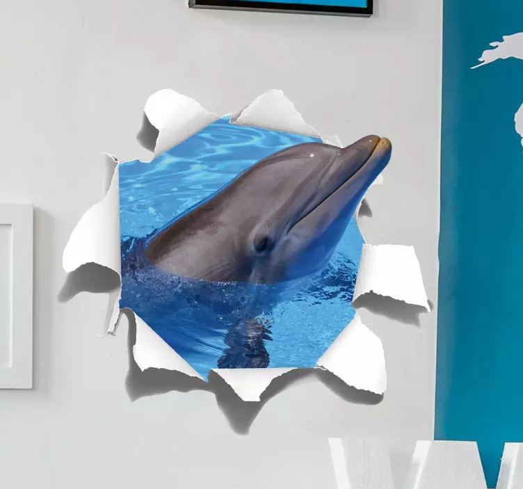 Delphin wandbild aufkleber - TenStickers