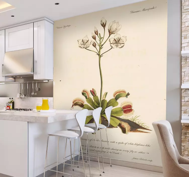 Wandtattoo Pflanze fleischfressend - TenStickers