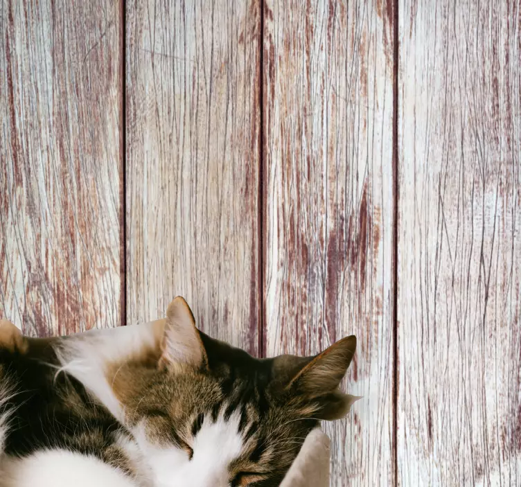 Wandtattoo Textur graue holzbretter - TenStickers