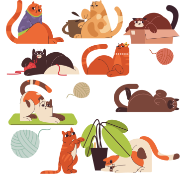 Fensteraufkleber spielende Katzen - TenStickers