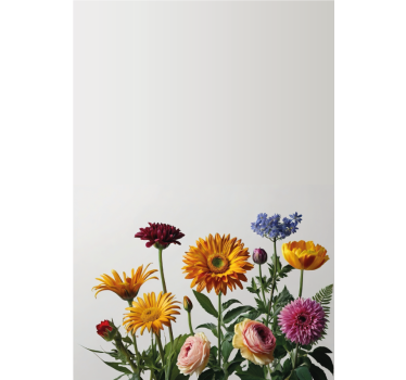 Fensteraufkleber gänseblümchen-design - TenStickers