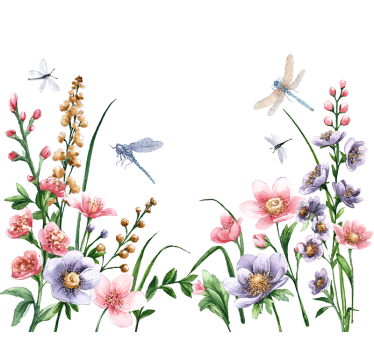 Fensterbild Blumen und Libellen - TenStickers