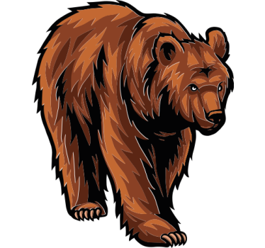 Autoaufkleber bärenillustration - TenStickers