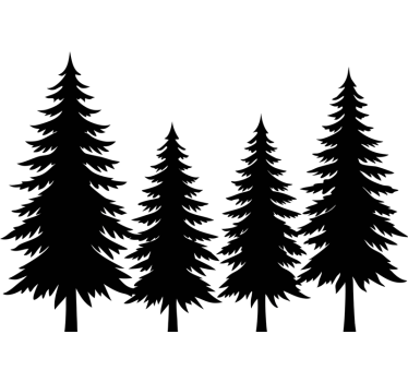 Schaufensteraufkleber Weihnachten Winterbäume - TenStickers