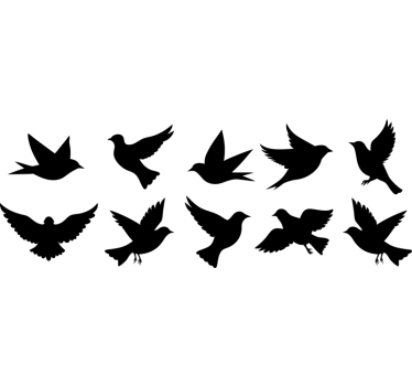Fensteraufkleber 10 vögel antikollision - TenStickers