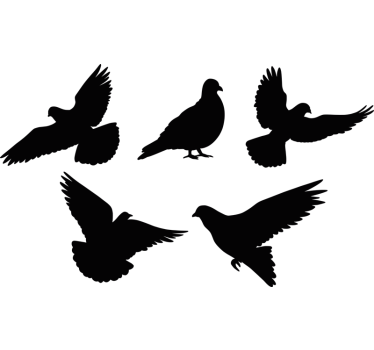 Fensteraufkleber vögel anti-kollision - TenStickers