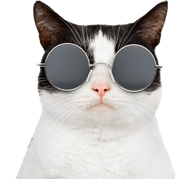 Autoaufkleber katze mit sonnenbrille - TenStickers