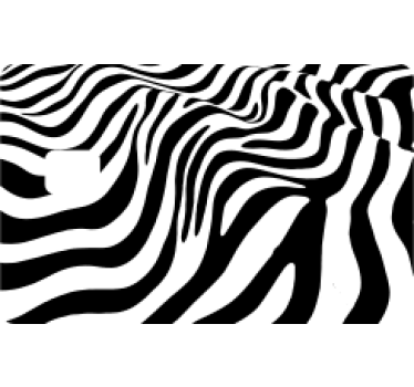Kreditkarte Aufkleber zebra-druck-original - TenStickers