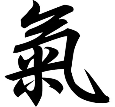 Wandtattoo Wohnzimmer chinesisches Schriftzeichen Kraft - TenStickers