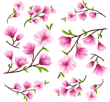 Fensteraufkleber bunte magnolienblüten - TenStickers