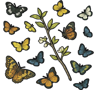 Fensteraufkleber grünes schmetterlingsmuster - TenStickers