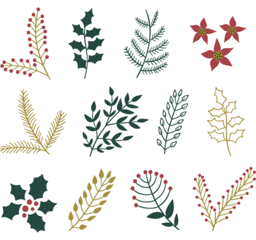Wandtattoo Pflanze weihnachtlich - TenStickers