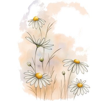 Möbelfolie aquarell gänseblümchen - TenStickers