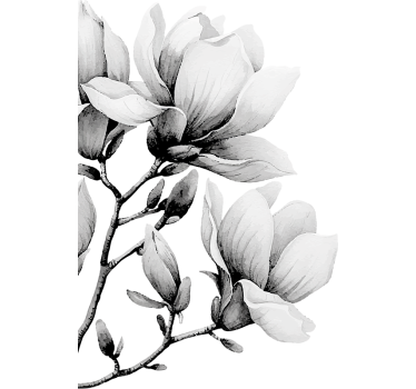 Folie Tür blumen schwarz und weiß - TenStickers