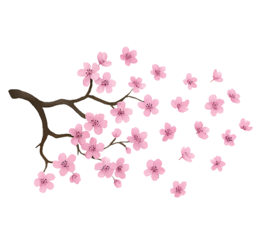 Autoaufkleber pinke kirschblüten aufkleber - TenStickers