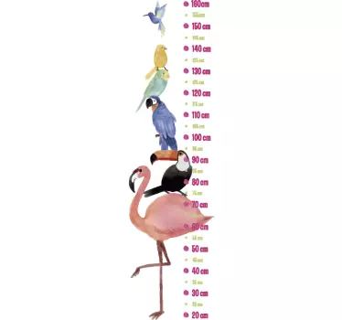 Wandsticker Messlatte Exotische Vögel - TenStickers