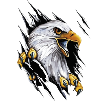 Autoaufkleber amerikanischer weißkopfseeadler klaue - TenStickers