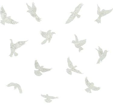 Fensteraufkleber romantische vögel - TenStickers