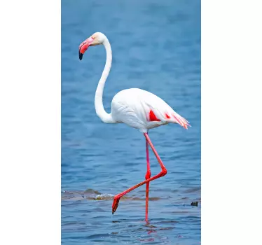 Fototapete Flamingo - TenStickers
