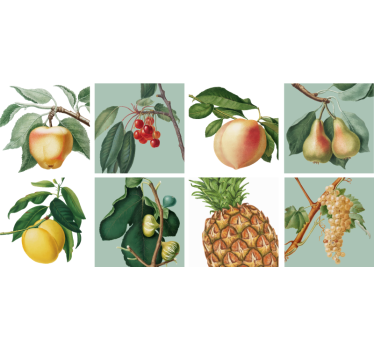 Wandtattoo Küche mit frischen Früchten für Fliesen - TenStickers