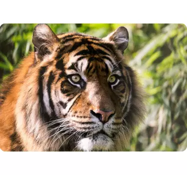 Laptop Sticker Tiger Foto - TenStickers