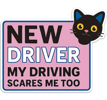 Autoaufkleber lustiger und süßer neuer fahrer - TenStickers