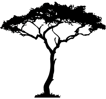 Wandtattoo Baum in Afrika - TenStickers